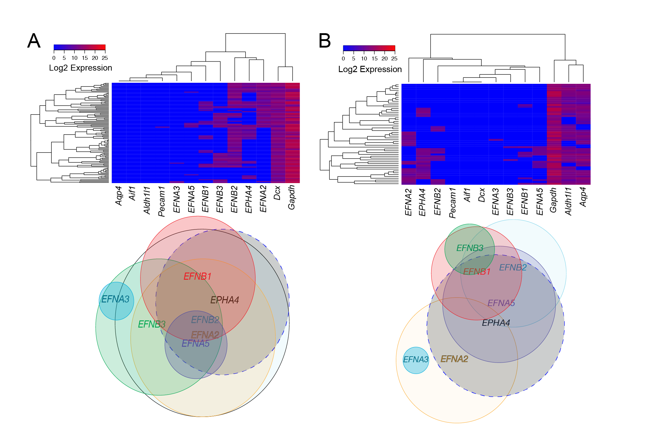 single cell graphical description